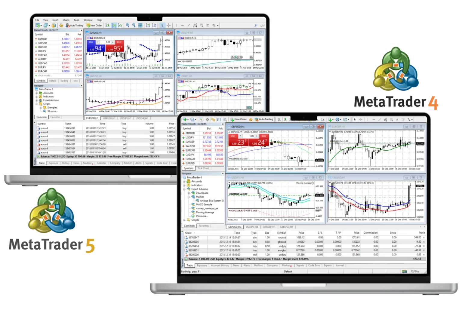 Exness trading platforms